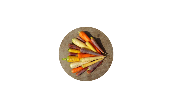 Les carottes de sable & les carottes de couleurs