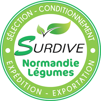 Logo Surdive